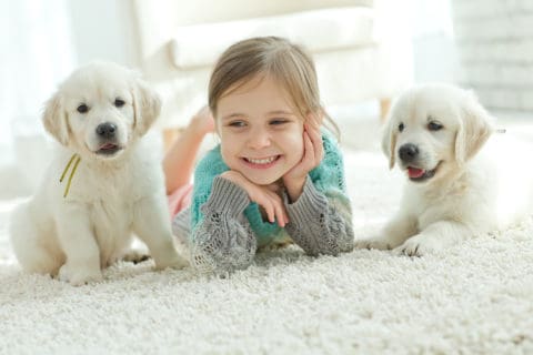 A little girl laying on the floor with two puppies.
