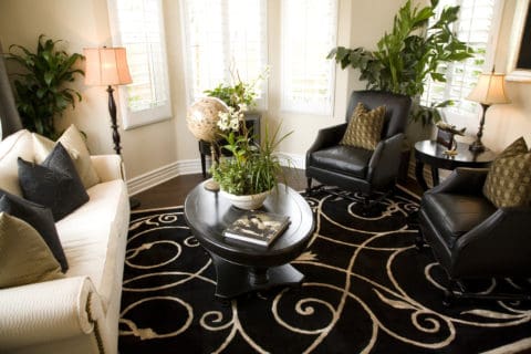 A living room with black and white carpet, leather furniture and plants.
