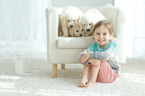A little girl sitting on the floor with two puppies.