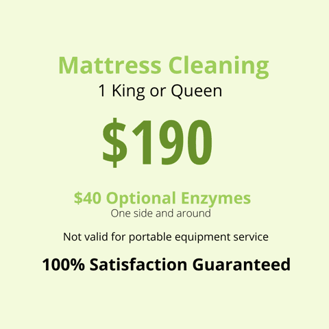 Mattress cleaning price for 1 king or queen