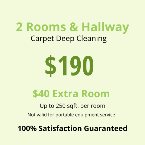 A carpet cleaning special for $ 1 9 0.